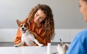 3 Signs Your Pet Needs Immediate Veterinary Attention