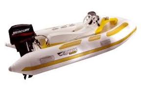 Mercury Marine Rhino Rider And Rhino Rib Ii Articles Boats Com Mercury Marine Marine Boat