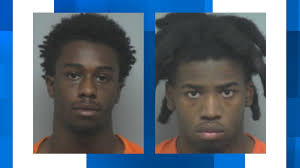 2 good Samaritans, including doctor, killed after helping stuck driver