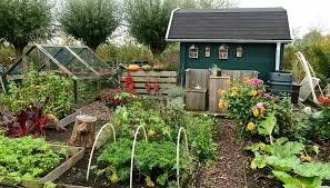Mel S Kitchengarden On Instagram Just Been On The Allotment Garden Everything Is Wet Its Raining A Lot Ju Allotment Gardening Edible Garden Garden S