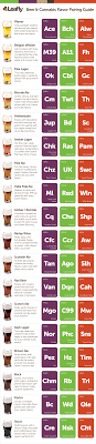 The Leafly Beer Cannabis Flavor Pairing Guide Leafly