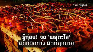จากกรณีเหตุการณ์ที่พลุตะไลที่ใช้จุดในงานเผาศพพุ่งตกลงมาใส่ศีรษะ เด็กหญิงณัฐชา สวัสดี หรือน้องมิ๊นท์ อายุ 10 ปี นักเรียนชั้น ป.3 โรงเรียนอาจ. H6p8nmmfejurom
