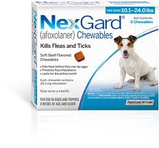 How long does it take ppc to work?. Nexgard Flea Tablets For Dogs Viovet