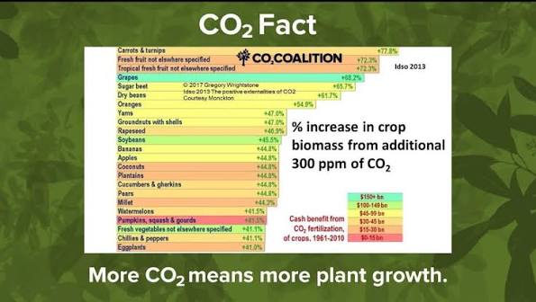 CO2 benefits plant growth and crop biomass