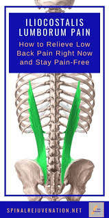 Pin On Yoga And Exercise