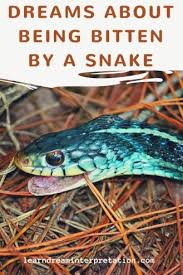 Dreams About Being Bitten By A Snake Learn Dream Interpretation Snake Dream Interpretation Dream Interpretation Snakes