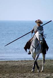 El Juli Saintes Maries De La Mer Horses Horse Love Camargue Horse