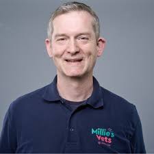 UK Veterinary Sector Investigation: Proposed Reforms for Pet Owners