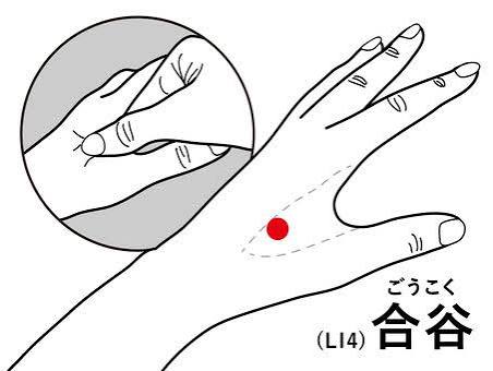 経穴イラスト｜無料イラスト・フリー素材なら「イラストAC」
