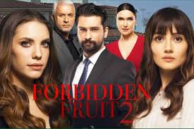 Anticipazioni Forbidden Fruit: ultimatum di Yildiz, la reazione di Alihan -  ideabuilding.it
