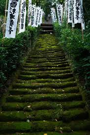 Stairway to heaven chords led zeppelin 1971 (jimmy page / robert plant, led zeppelin iv) am e+* c d f g am am e+ * there's a lady who's sure c d all that glitters is gold f g am and she�. Stairway To Heaven Stairway To Heaven Stairways Heaven