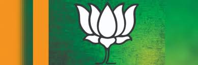 All of these background images and vectors have high resolution and can be used as banners, posters or wallpapers. Elections 2019 Bjp Swaps Out Saffron For Green In Kashmir Campaign