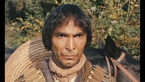 Compañero de viaje (1979)