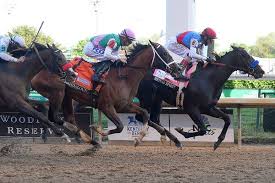 A race or contest open to all comers or to a specified category of contestants bicycle derby. Onhpy5flwvgbam