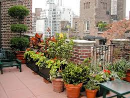 Every rooftop garden is essentially a container garden, as this is the only way to provide soil. Cool Garden Design Idea Green Oasis On The Roof Terrace Interior Design Ideas Avso Org