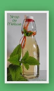 Sirop De Melisse En 2019 Boissons Sirop Recette Et Recettes De Cuisine