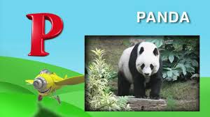We have detailed below our selection of female dog names that start with p. What Animals Begin With The Letters P Q From I Love My Abc S Animals On Dvd Youtube
