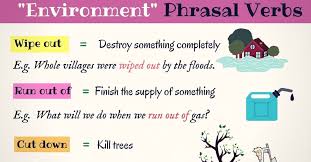 Environment Vocabulary 10 Useful Environment Phrasal Verbs 7 E S L Phrasal Verbs With Meaning English Grammar Book Pdf Vocabulary