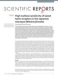 PDF) High maltose sensitivity of sweet taste receptors in the Japanese  macaque (Macaca fuscata)