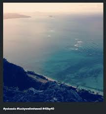 Yolo 124 is a member of vimeo, the home for high quality videos and the people who love them. Image 819252 Yolo Know Your Meme