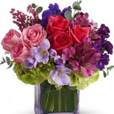 First off, the good before the bad, the flowers arrived when i asked to have them delivered. Calgary Florist Yara Flowers Same Day Delivery In Calgary