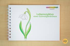Leseheft Schneeglockchen Wunderwerkstatt