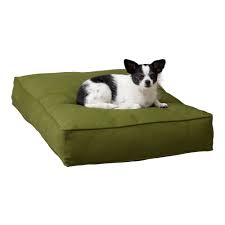Happy Hounds Casey Indoor/Outdoor Pillow Style Dog Bed, Hunter, Small (36 x  24 in.)