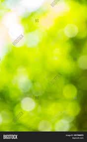 abstract bokeh and blurred colorful nature background model is used to enter text nature naturebeauty n nature backgrounds best nature images nature images