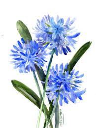 Pin On Watercolor Flowers