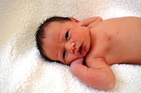 Newton Birth Announcements