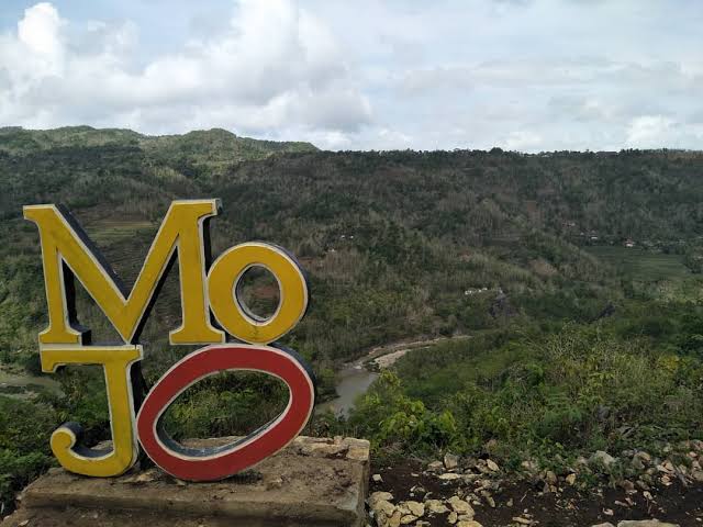 Bukit Mojo spot fotografi hamparan kebun dan perbukitan