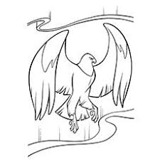 20 Cute Eagle Coloring Pages For Your Little Ones In 2020 Coloring Pages Farm Animal Coloring Pages Animal Coloring Pages