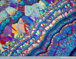 Agate Quartz Crystals In Thin Section By Wellcome Images Microscopic Photography Crystals Patterns In Nature