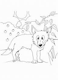 Mit der fuchs sitzend malvorlage aus der kategorie. Fuchs Gesicht Malvorlage Fuchsgesicht Malvorlagen Coloring And Malvorlagan Malvorlage Fuchs Einfach Ausmalbilder Malvorlagen Fuchs Kostenlos Zum Ausdrucken