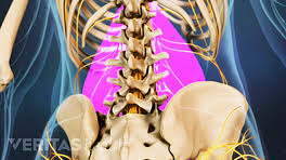 The left lumbar region is one of nine regions of the abdominal cavity, and it contains organs from both the digestive and excretory systems. Slideshow 7 Ways Internal Organs Can Cause Lower Back Pain