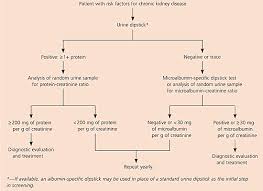 Besides, medicines, bacteria, virus, kidney stone, etc, are also common causes. Detection And Evaluation Of Chronic Kidney Disease American Family Physician