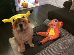 Pika Chow And Charmander Homemade Couple Costume Homemade Couples Costumes Couples Costumes Costumes