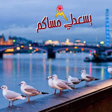 مساء الخير good morning animals good afternoon