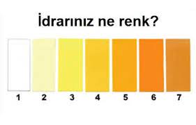 saglik durumunu anlatan 8 idrar rengi sagliga bir adim