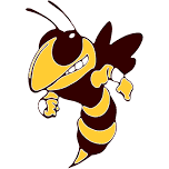 Tyler Girls Varsity Volleyball @ Williamstown