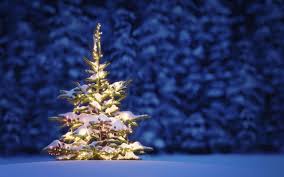 Find the best free stock images about christmas tree. Beautiful Christmas Tree In Snow Wallpapers Wallpaper Cave