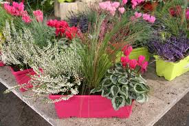 Le Marche Aux Fleurs En Automne Au Jardin Des Plantes Plante Pour Jardiniere Jardin D Automne Jardins
