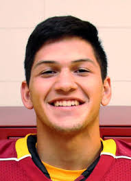 Academic All-State: Fairbury's Johnson rushes the problems — to find the  answers