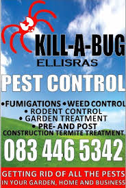 Given our subtropical climate, pests in florida are a constant menace. Kill A Bug Pest Control Lephalale South Africa Contact Phone Address