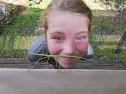 Happy New Year fellow islanders Wishing you all the best for 26 🕊️💚🕊️