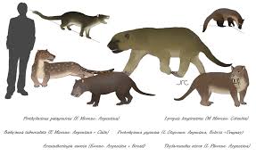 Pouched Predators Of South America Borhyaenoids By Artbyjrc On Deviantart In 2020 Extinct Animals Prehistoric Animals Animals