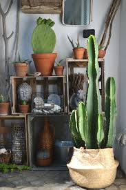 Wohnblog Wohnideen Dekoideen Einrichtungsideen Einrichten Wohnen Mit Ikea Dekoration Styling Interior Diy Einric Cacto Decoracao Decoracao Com Plantas
