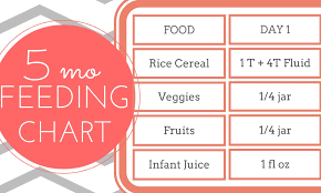 Free Printable 5 Month Old Feeding Chart Strong Mama