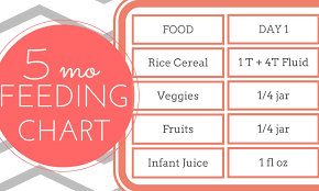 free printable 5 month old feeding chart strong mama