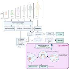 Infertility Considerations In Klinefelter Syndrome From Origin To Management Sciencedirect